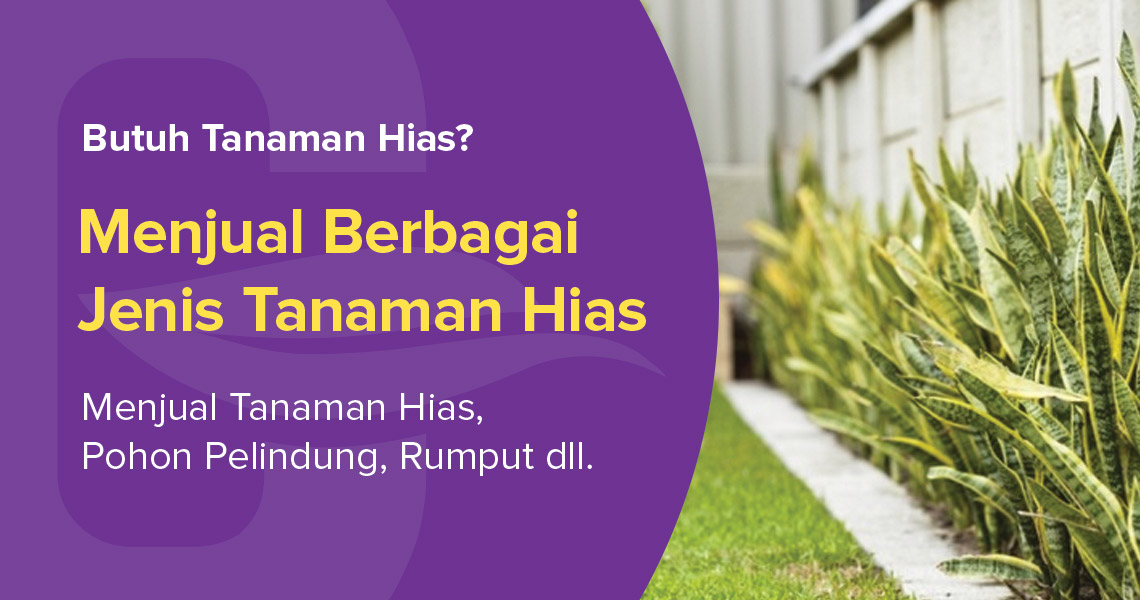 tanaman-hias