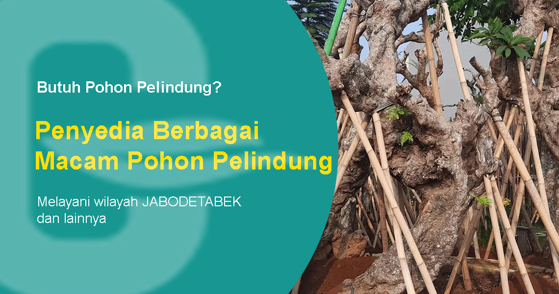 Pohon-pelindung